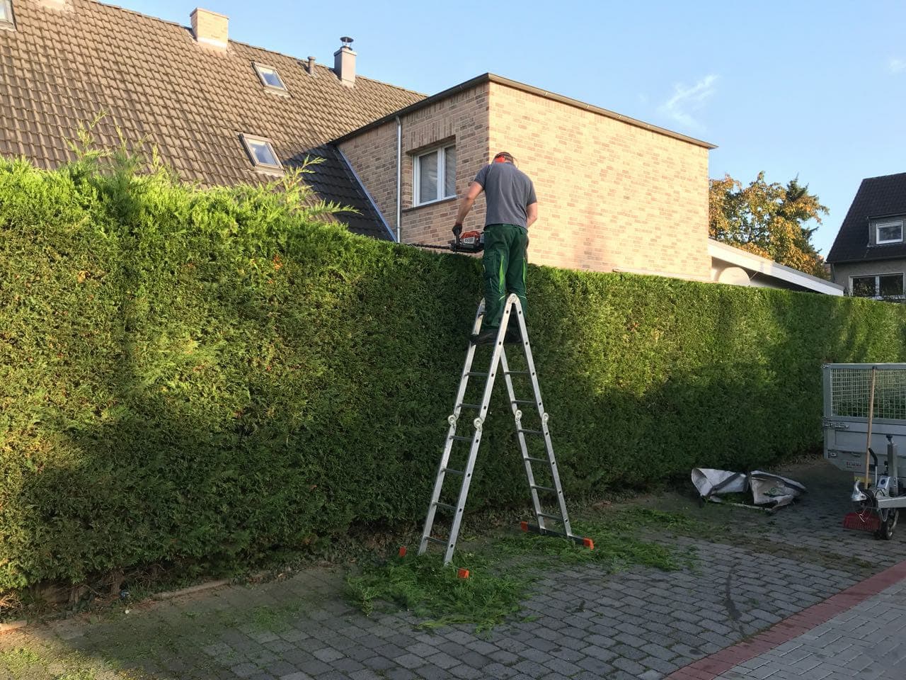 Professioneller Heckenschnitt von Grünschnitt by Amini