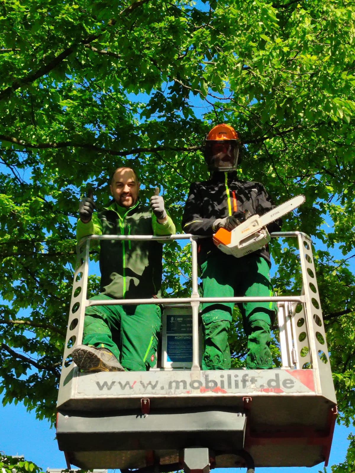 Team auf der Hebebühne bei der Baumkronenarbeit